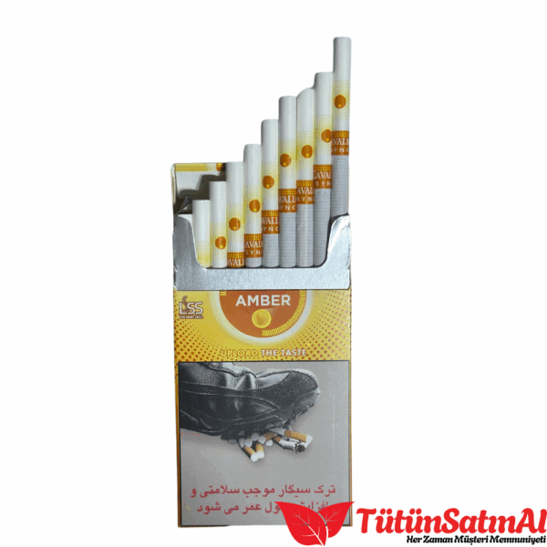 cavallo sync amber 1