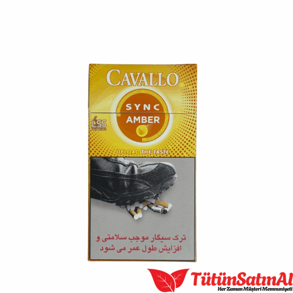 cavallo sync amber